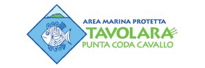 immersioni Area Marina Protetta di Tavolara e Molara