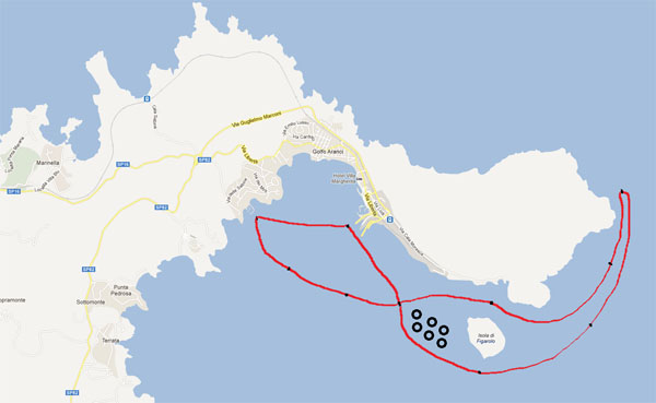 Golfo Aranci avvistamento delfini Centro Immersioni Figarolo