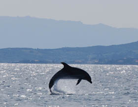 Trekking Golfo Aranci