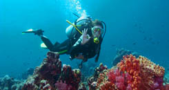 Centro Immersioni Figarolo diving PADI Golfo Aranci - Immersioni Golfo Aranci