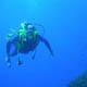 Immersioni diving Golfo Aranci