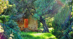 Centro Immersioni Figarolo diving PADI Golfo Aranci - Escursione casette rosse